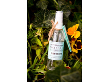 ����������� �������� (��������� ����)  �������, ���� 210���