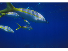 �������� 9.JPG