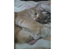 ������ 14-10.jpg