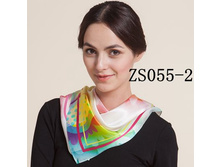 ZS055-2 (300 ���) 100% ���� 55 �� 55 ��.jpg