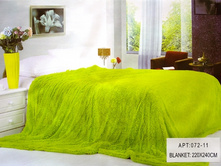 �������� ���������.jpg