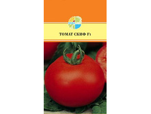 ����� ���� F1_22,80+%