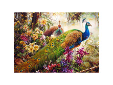 ������� � ������ 48 �� 70 Ag 438- 1720 ���..jpg