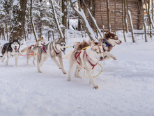 _MG_7214.jpg