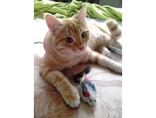 ������ 14-1.jpg