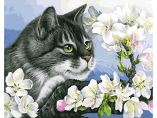 929-AB ��������� ����..jpg