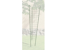 �������  ����� �������.jpg