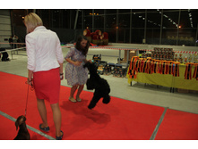 IMG_4597.JPG