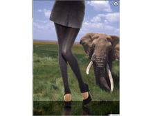 �12. �������� ������� ZEVANA 80.jpg