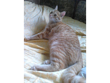 �������� 14-1.jpg