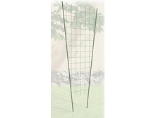 �������  �������.jpg