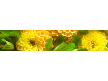 lambreken-georgin-yellow.jpg