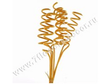 image100 - ����� - ����� - �����.png