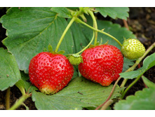 ��������� ������� �������� 189