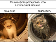 46371c8a68.jpg