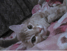 ������� 14-9.jpg