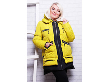 ������ SP ���� �������