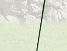 ����� ��� ������ �����.jpg