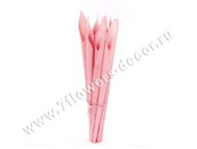 image259 - ����� - ����� - �����.png