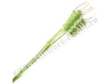 image151 - ����� - ����� - �����.png