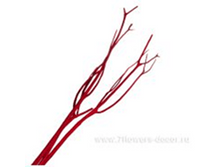 image130 - ����� - ����� - �����.png