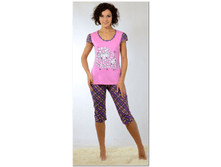 big_cat_62e78f127ceb45369fd741539544a874.png