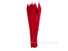 image264 - ����� - ����� - �����.png