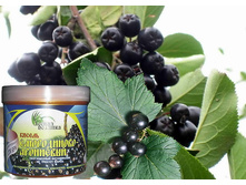 ������ �����������-���������