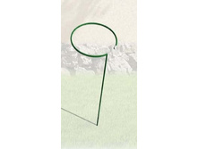 ����� ��� ������ �������.jpg