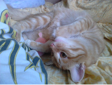 �������� 14-6.jpg