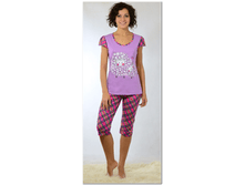 big_cat_59c3ba18f6794c1d841a3b907bf0a970.png