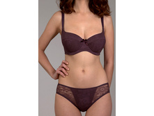 2031.Charlotte  �����. 472�