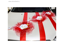 �� ���� 2.jpg