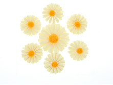 9900248.jpg ���12  98�