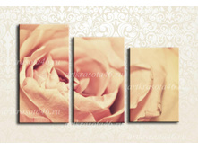 F007 - 2621 ���.