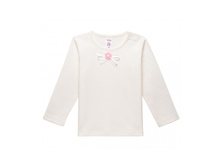 23.20 �������� � ������� ������� ���� 243 �