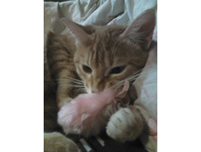 ������ 14-7.jpg