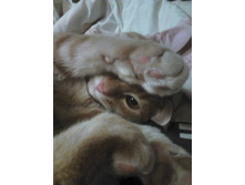 ������ 14-4.jpg