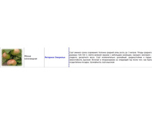 ������ ������������ �������� ��������.jpg