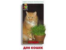 ����� ��� �����.jpg