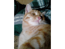 ������ 14-3.jpg