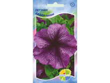 ������� ����� �������_12,80+%