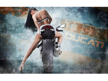 P20137- 1150 ���.