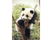 �������� ����� - 27 �� 38 - 846 ���..jpg