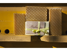 ������������ ���� ���� ������� ����, ���� 155��� ��  100��. ������� ���� ����� �� 100 �� 130 ��.