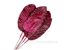 image424 - �����.png