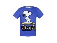 �������� ��� ���������	BBS13-37503