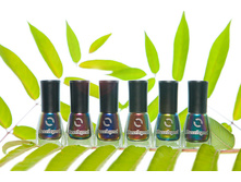 Dance Legend CHAMELEON