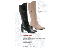 2900+% ������ ����, 3200+%-�������