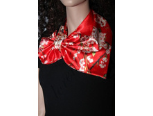 ����������� ������� STR-77